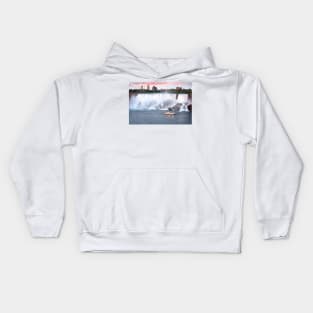 American Falls Kids Hoodie